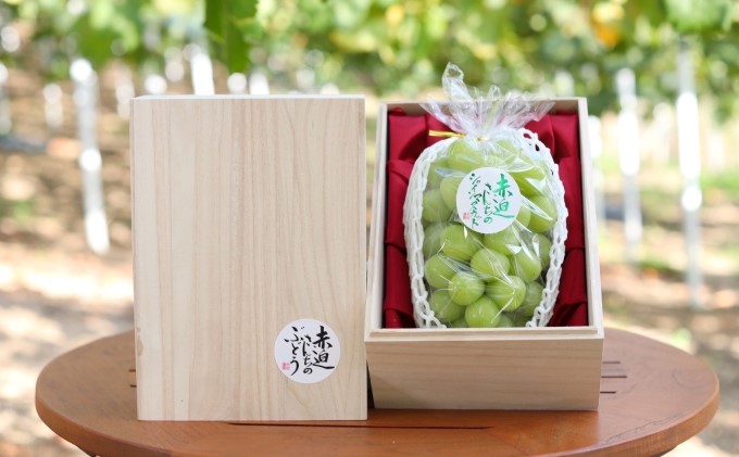 桐箱入 シャイン マスカット 1房 750g以上 葡萄 ぶどう フルーツ 岡山 高梁市産 赤迫農園 2026年 先行予約 果物 デザート 愛情 最高 新鮮 桐箱入り 美味しい