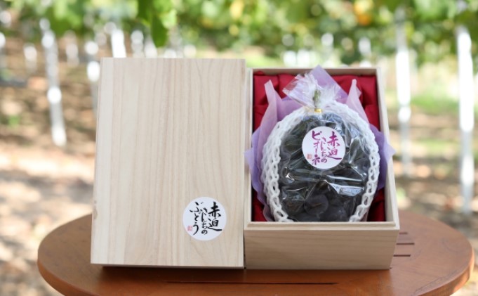 桐箱入 ニュー ピオーネ 1房 750g以上 葡萄 ぶどう フルーツ 岡山 高梁市産 赤迫農園 2026年 先行予約 果物 デザート 愛情 最高 新鮮 桐箱入り 美味しい