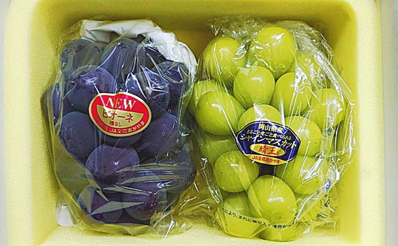 ぶどう 2026年 先行予約 詰合/ニューピオーネ 1房(480g以上)・シャインマスカット 晴王 1房(480g以上) 化粧箱入り ブドウ 葡萄 岡山県産 国産 フルーツ 果物 ギフト