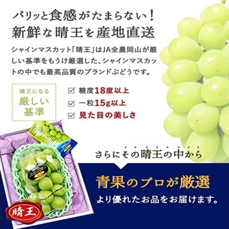 ぶどう 2026年 先行予約 シャイン マスカット 晴王 1房 800g前後 ブドウ 葡萄  岡山県産 国産 フルーツ 果物 ギフト 岡山のブドウ デザート 食べ物 日本産