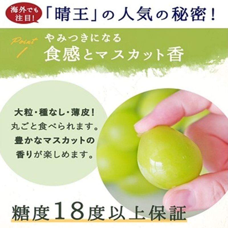 ぶどう 2026年 先行予約 シャイン マスカット 晴王 3～5房 2kg前後 （8月上旬～9月下旬発送分） ブドウ 葡萄  岡山県産 国産 フルーツ 果物 ギフト 岡山のブドウ デザート 食べ物 日本産