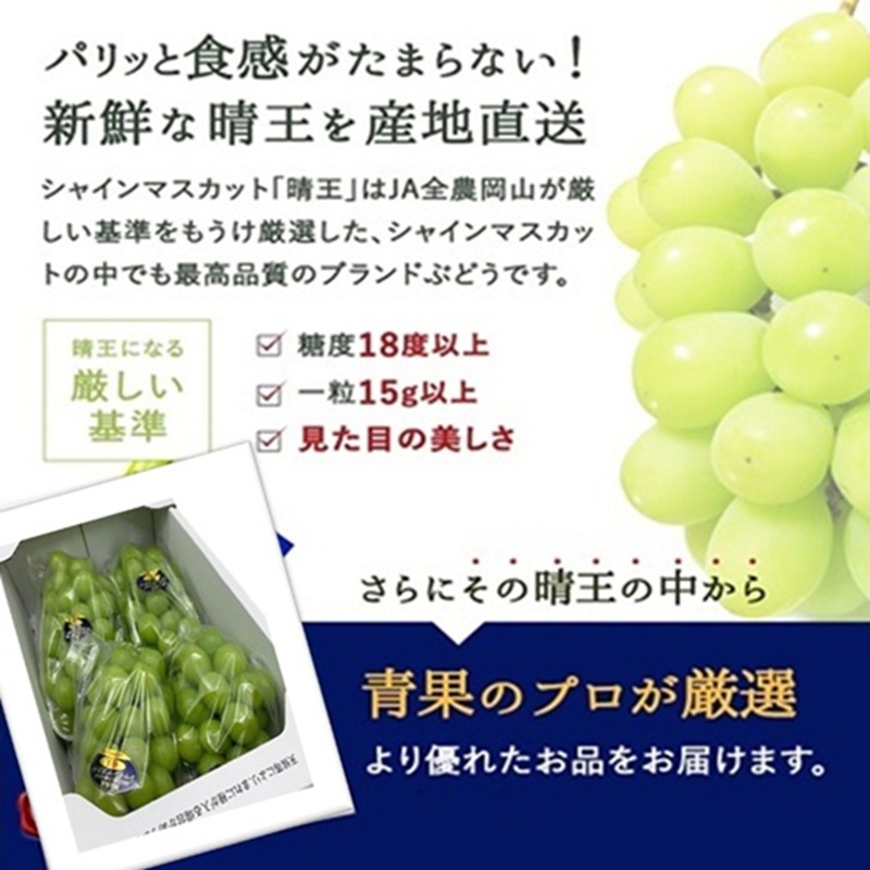 ぶどう 2026年 先行予約 シャイン マスカット 晴王 3～5房 2kg前後 （8月上旬～9月下旬発送分） ブドウ 葡萄  岡山県産 国産 フルーツ 果物 ギフト 岡山のブドウ デザート 食べ物 日本産