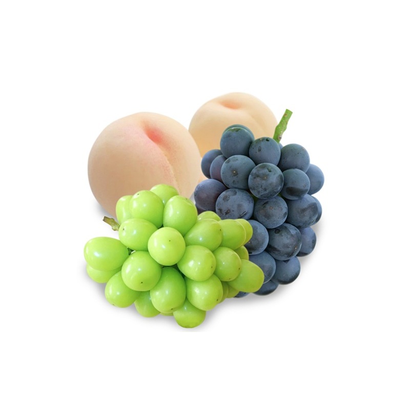 フルーツ 定期便 2026年 先行予約 晴れの国 岡山 の 定期フルーツ定期便 3回コース 桃 もも 葡萄 ブドウ 岡山県産 国産 セット ギフト