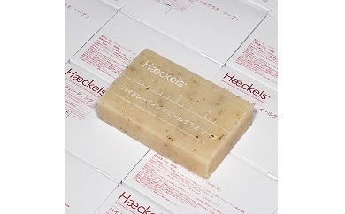 ヘッケルズ・ハイドレーティング・イールグラス・ソープ