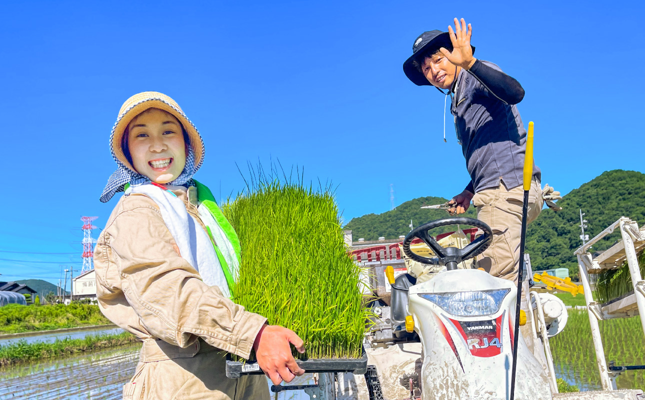 ★品種おまかせ！★【令和7年産】精米　香登米(かがとまい) 5kg【米精 米 ご飯 朝日 アケボノ きぬむすめ】