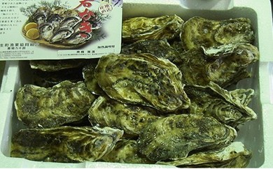 ★先行受付開始！★【2026年発送分】産地直送！岡山県日生産　殻付き牡蠣30個前後（3kg）（2026年1月中旬以降発送）【 全国牡蠣-1グランプリ豊洲2024 加熱部門初代グランプリ受賞！ 牡蠣 3kg 加熱用 蒸しカキ 焼き牡蠣 】