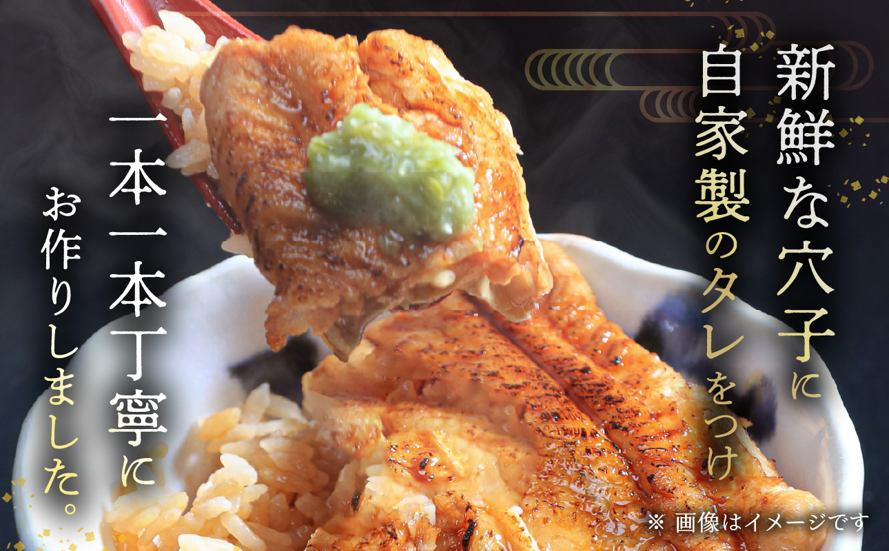 焼穴子 約500g（国産・大きいサイズ約5本）