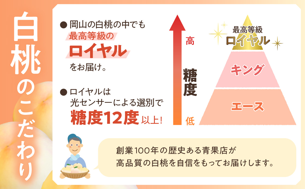 【令和８年発送分】岡山県産 白桃「ロイヤル」2kg（令和8年7月から8月頃発送）【 岡山県産 白桃 ロイヤル 晴れの国おかやま 】