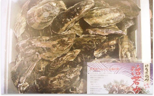 ★先行受付開始！★【2026年発送分】産地直送！岡山県日生産　殻付き牡蠣90個前後（9kg）（2026年1月中旬以降発送）【 全国牡蠣-1グランプリ豊洲2024 加熱部門初代グランプリ受賞！ 牡蠣 9kg 加熱用 蒸しカキ 焼き牡蠣 】