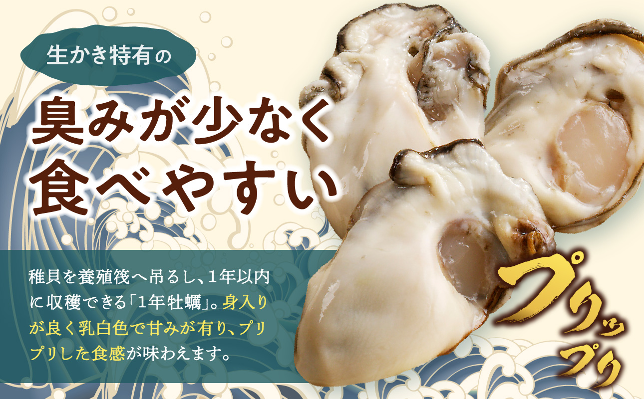 【2026年2月下旬～3月下旬発送】岡山県日生産 生鮮かき（むき身）加熱用 600g（300ｇ×2パック）【 全国牡蠣-1グランプリ豊洲2024 加熱部門初代グランプリ受賞！ 生鮮 牡蠣 600g 生鮮牡蠣 むき身 プリプリした食感 一年牡蠣】 600g