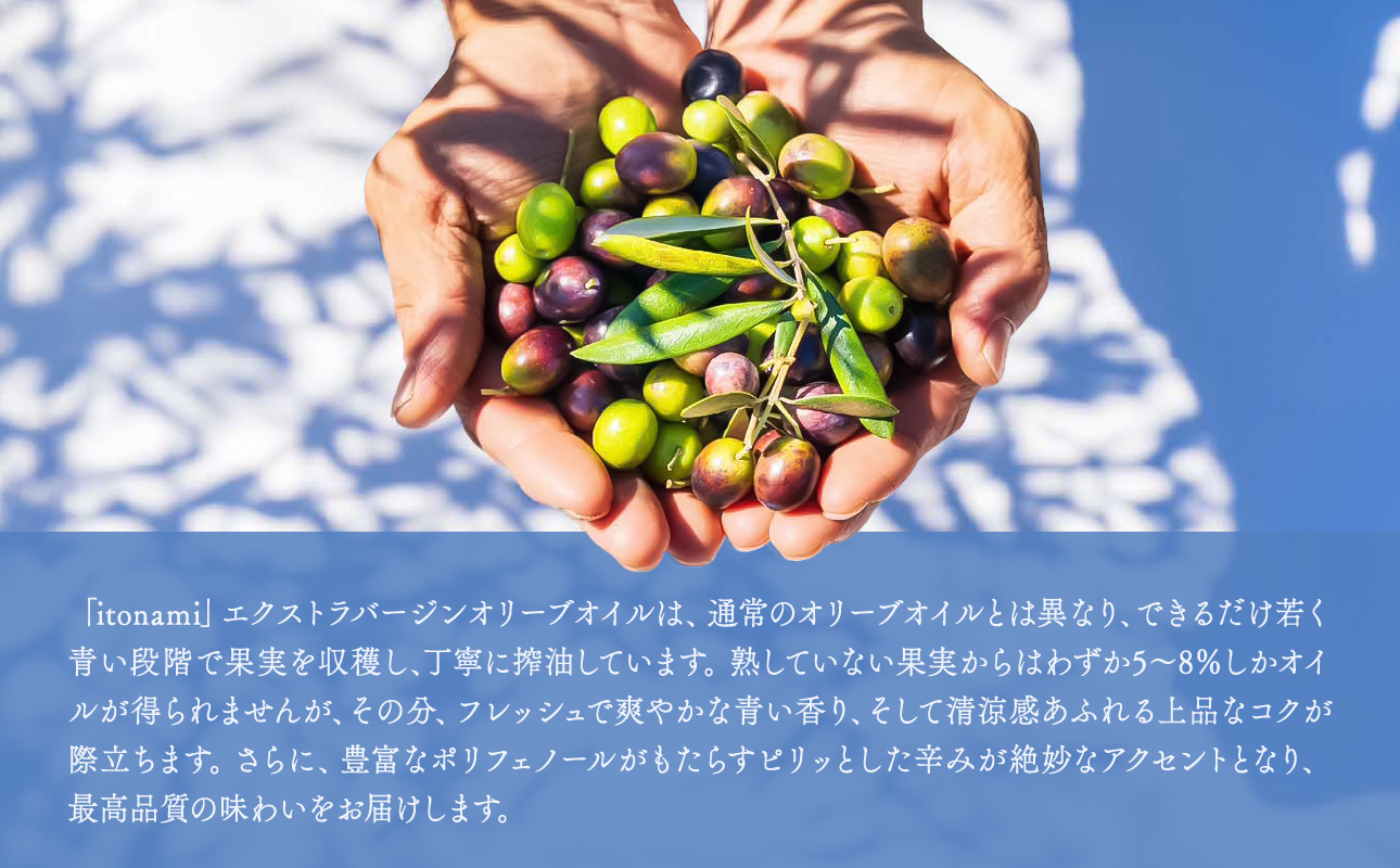 頭島エキストラバージンオリーブオイル【itonami】レッチーノ　64g【 itonami オリーブオイル フレッシュ 爽やか 上品なコク 頭島産 】
