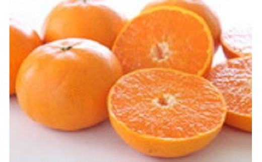 みかん ひなせ はるみ 約5kg（2026年2月頃発送）【果物 フルーツ みかん ミカン ひなせ 春見】