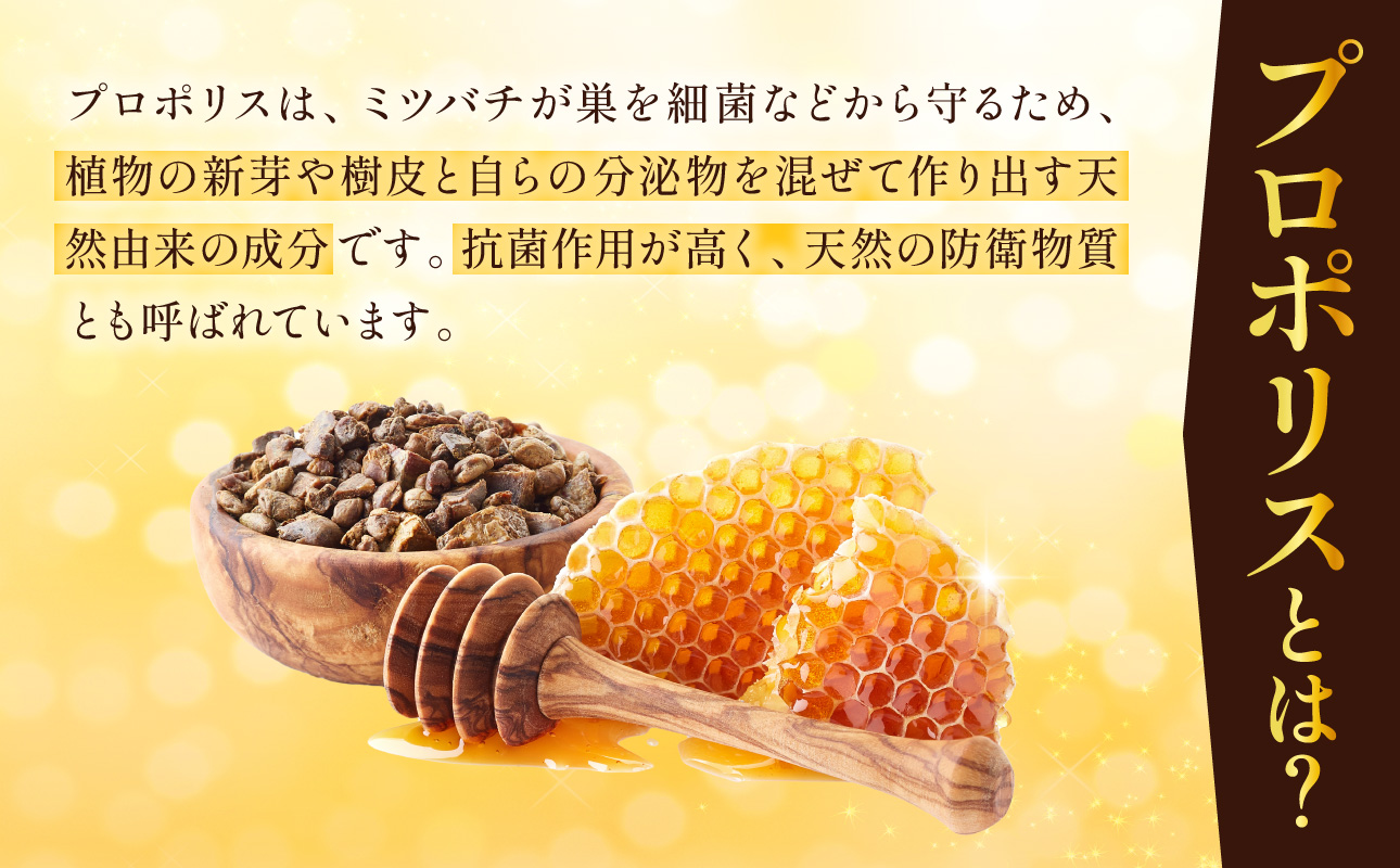 令和7年採取 純粋蜂蜜 液体 プロポリス10cc×２本セット