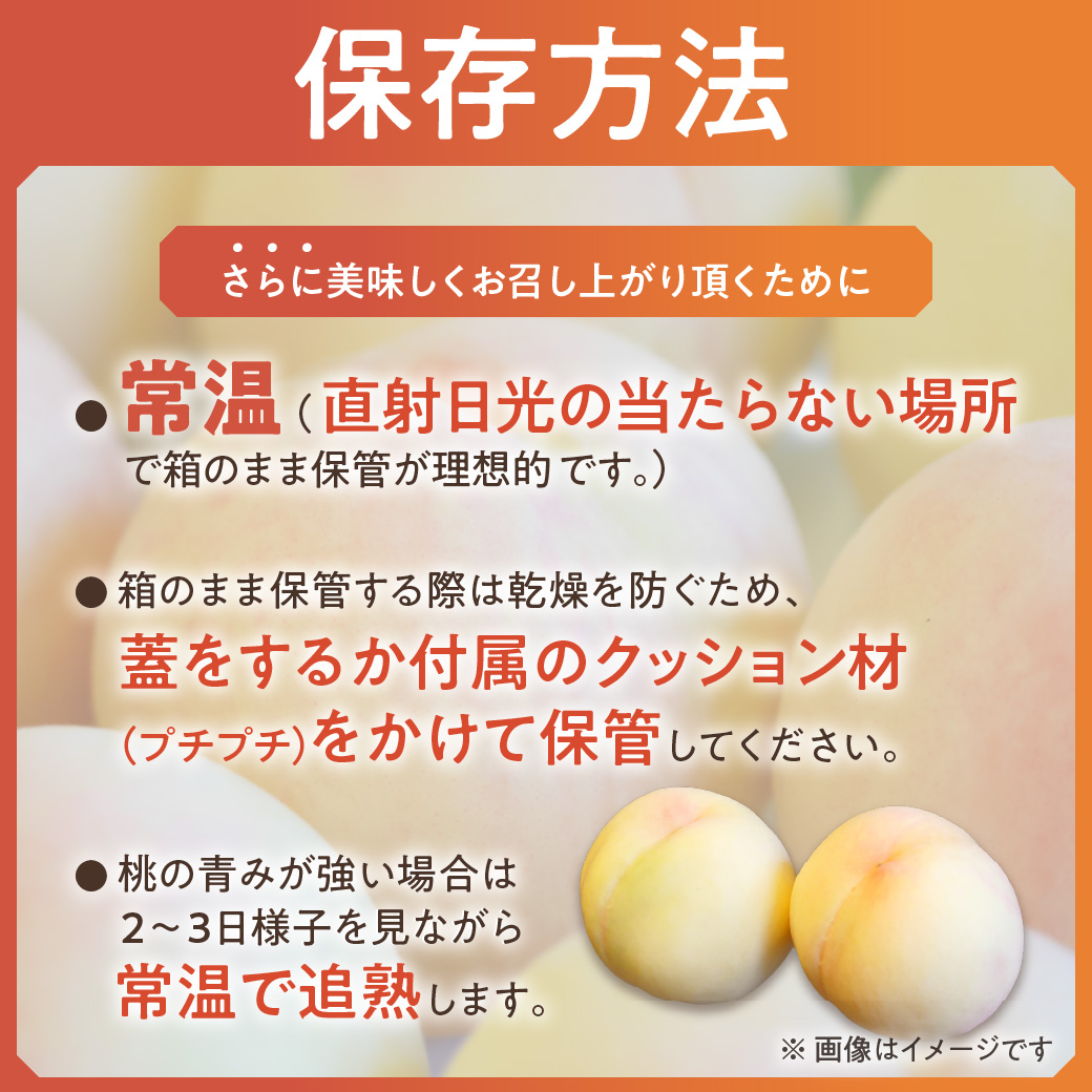 【令和８年発送分】岡山県産 白桃「ロイヤル」2kg（令和8年7月から8月頃発送）【 岡山県産 白桃 ロイヤル 晴れの国おかやま 】