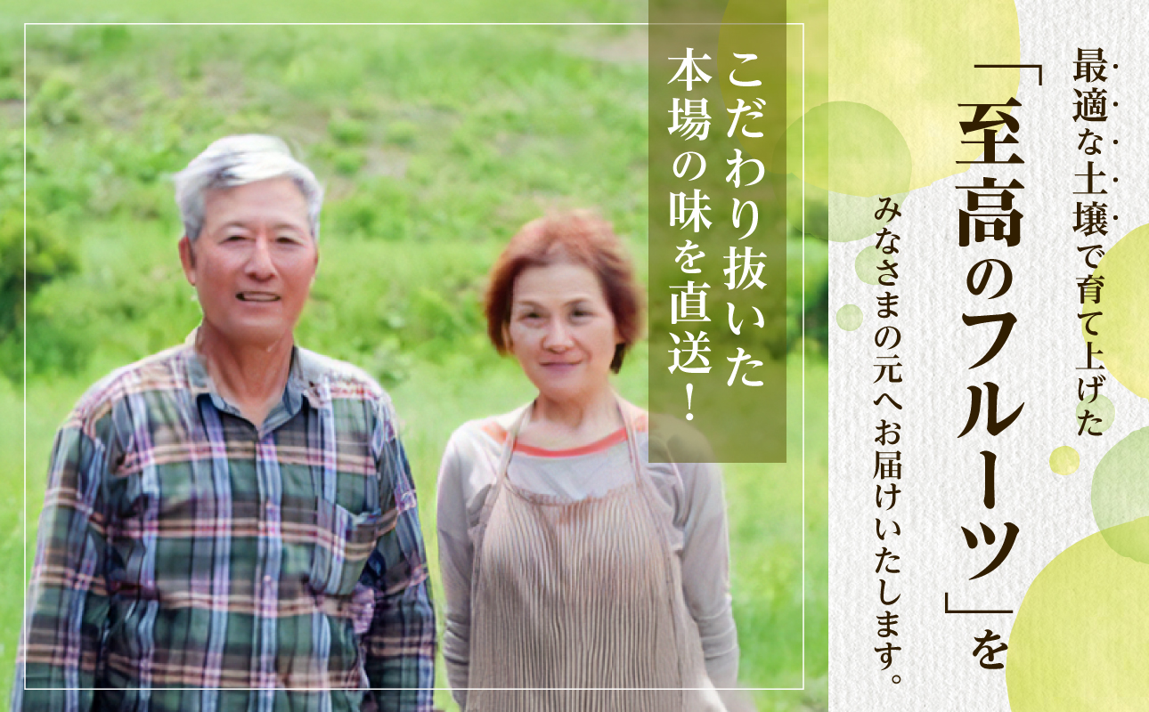 【2026年発送分　先行受付開始！】【定期便】びぜん葡萄　樹上完熟　味くらべセット（令和8年8月中旬～10月下旬頃発送）【 岡山県備前市産 樹上完熟 7回定期便 味くらべ 】