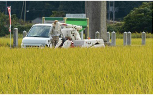 【令和7年産・皇室献上米】井田酵素米 きぬむすめ 5kg（かき殻・万田酵素使用）【日時指定可能 お米 配送 きぬむすめ 5kg もち米ブレンド精米 米 岡山県備前市産 新嘗祭 皇室献上米 生産 農家産】