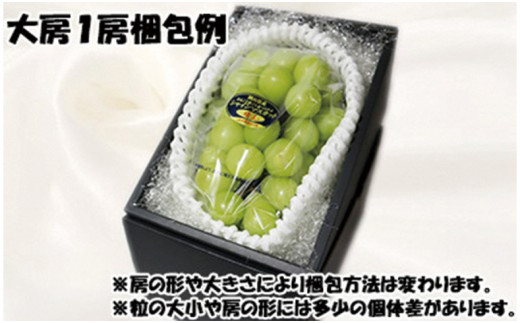 【令和８年発送分】岡山県産 シャインマスカット晴王【秀品】 大房１房（令和8年9月から10月頃発送）【 岡山県産 シャインマスカット 秀品 晴王 大房 晴れの国おかやま 】