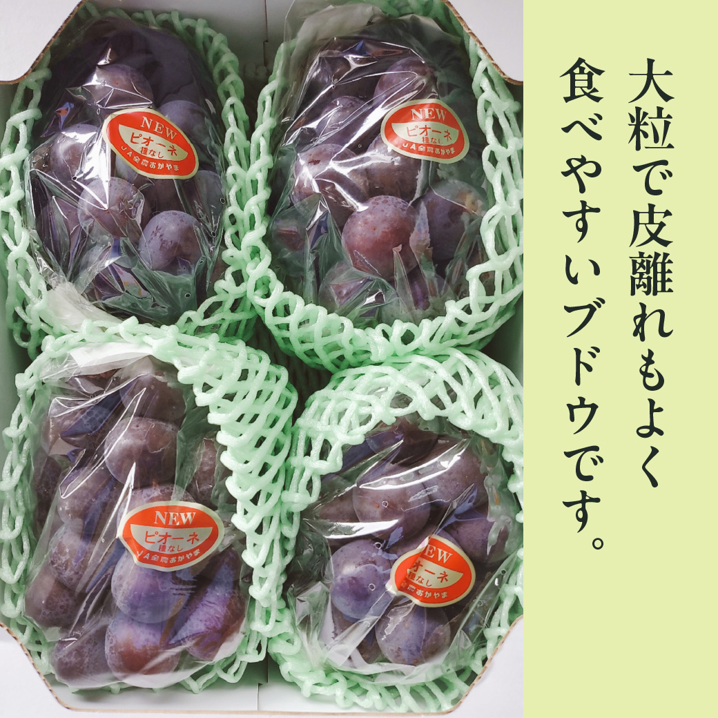 【2026年発送分 先行受付スタート！】岡山県産ニューピオーネ 　秀品　約2kg（3～5房程度）（令和8年8月中旬以降発送）【 ニューピオーネ フルーツ 果物 くだもの 葡萄 ぶどう 岡山県産 秀品 】