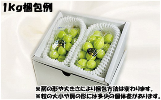 【令和８年発送分】岡山県産 シャインマスカット晴王【秀品】1kg（令和8年9月から10月頃発送）【 岡山県産 シャインマスカット 秀品 晴王 晴れの国おかやま 葡萄 ぶどう】