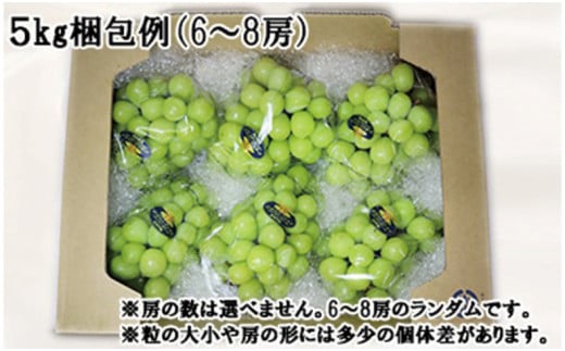 【令和８年発送分】岡山県産 シャインマスカット晴王【秀品】大房5kg（令和8年9月から10月頃発送）【 岡山県産 シャインマスカット 秀品 晴王 大房 晴れの国おかやま ぶどう 葡萄】