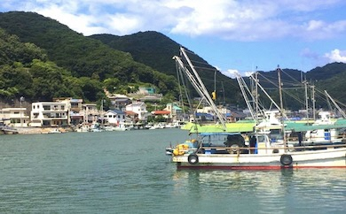 日生諸島　遊漁船体験