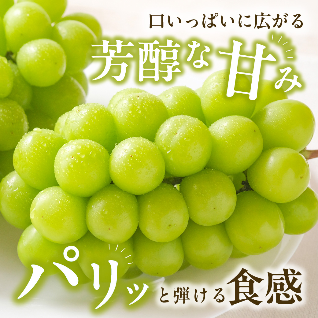 【2026年発送分 先行受付スタート！】【定期便】岡山県産　桃 約4kg・シャインマスカット 約5kg 計6回発送【シャインマスカット 晴王 葡萄 ぶどう 白桃 桃 もも 果物 くだもの フルーツ 定期便】