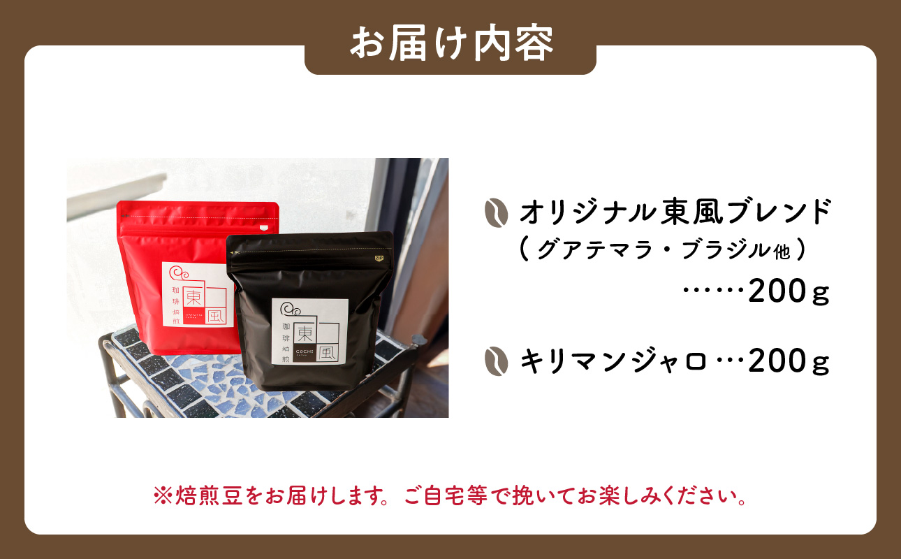 自家焙煎　東風（こち）コーヒー豆2点セットB