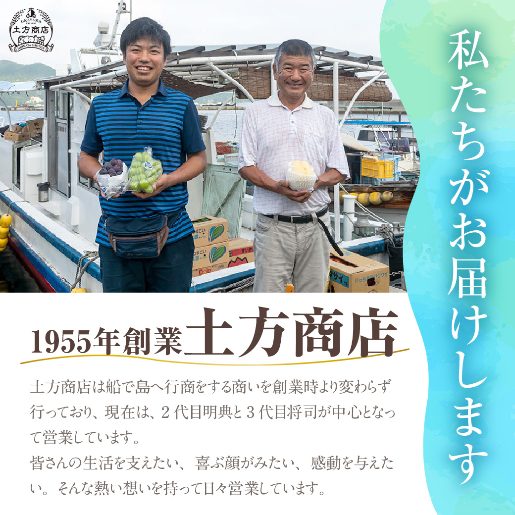 【2026年発送分 先行受付スタート！】岡山県産 白桃とシャインマスカットのセット（令和8年7月以降発送）【 白桃 シャインマスカット 晴王 種無し 高糖度 セット 詰合せ フルーツ 果物 くだもの もも 桃 モモ 葡萄 ぶどう ブドウ 岡山県産 】
