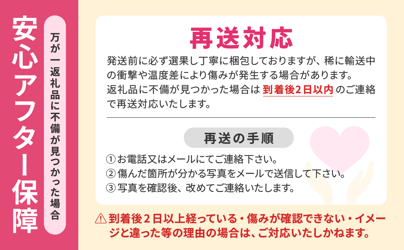 【令和８年発送分】岡山県産 シャインマスカット晴王【秀品】 大房２房（令和8年9月から10月頃発送）【 岡山県産 シャインマスカット 秀品 晴王 大房 晴れの国おかやま】