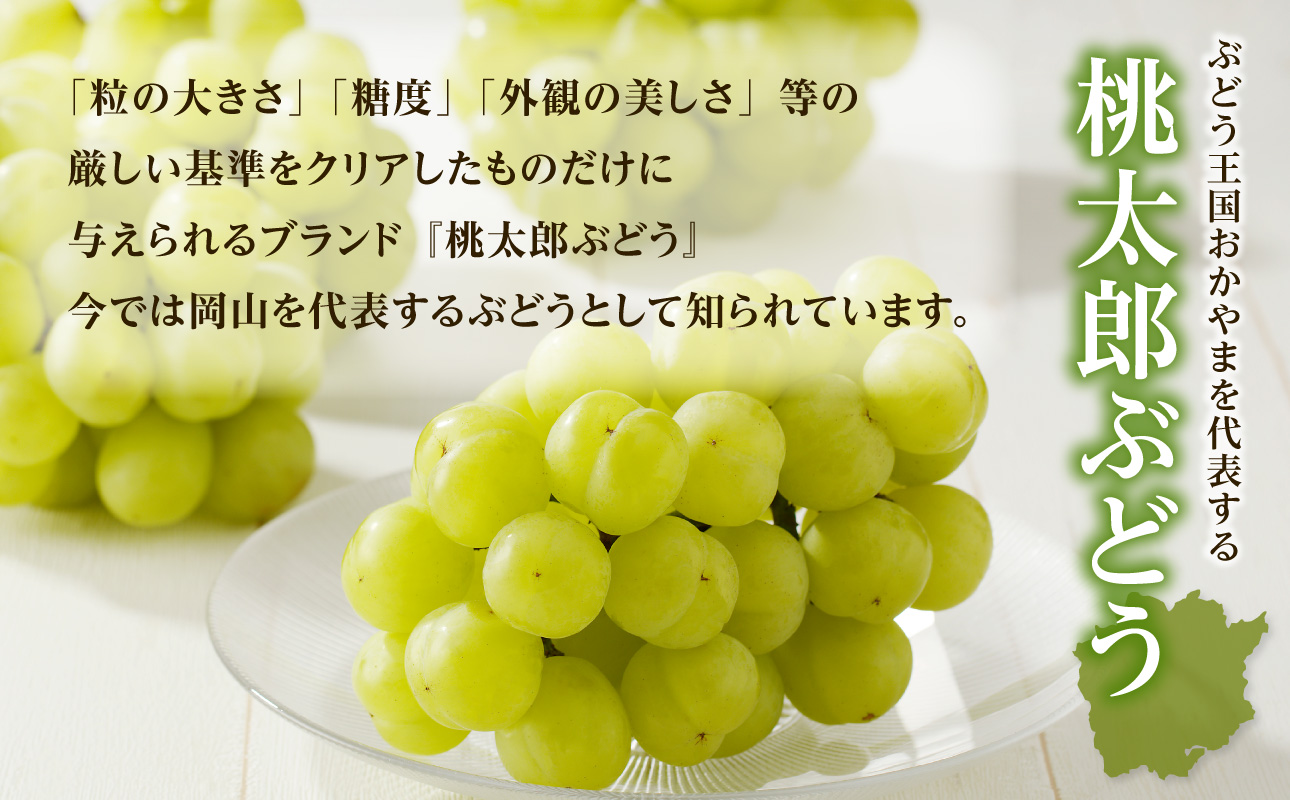 【2026年発送分　先行受付開始！】びぜん葡萄「桃太郎ぶどう」（ハウス栽培）約2㎏入（令和8年8月中旬～9月中旬頃発送）【 岡山県備前市産 桃太郎ぶどう 果物 フルーツ ハウス栽培 約2kg （3～5房目安）樹上完熟 】