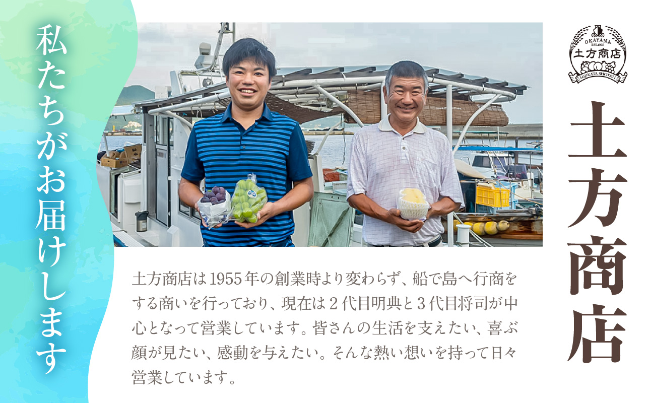 【2026年発送分 先行受付スタート！】岡山県産 白桃（晩生種） 最高ランク！「ロイヤル」約4kg（ 8～15玉）（令和8年8月以降発送）【 白桃ロイヤル フルーツ 果物 くだもの もも 桃 モモ 岡山県産 】hz-m