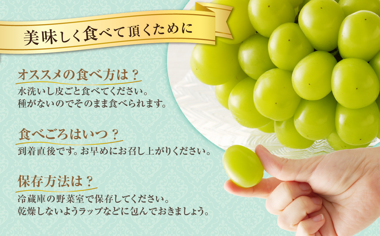 【2026年発送分 先行受付スタート！】【定期便】岡山県産シャインマスカット「晴王」　秀品　大房（約5kg・5～9房目安）×10回発送（令和８年7月以降発送）【 シャインマスカット 晴王 フルーツ 果物 くだもの 葡萄 ぶどう 岡山県産 秀品 大房 種無し 高糖度 】