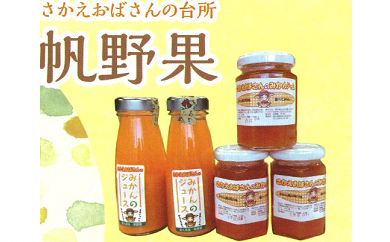 みかん狩りもできる！南農園お買い物券（3000円分）
