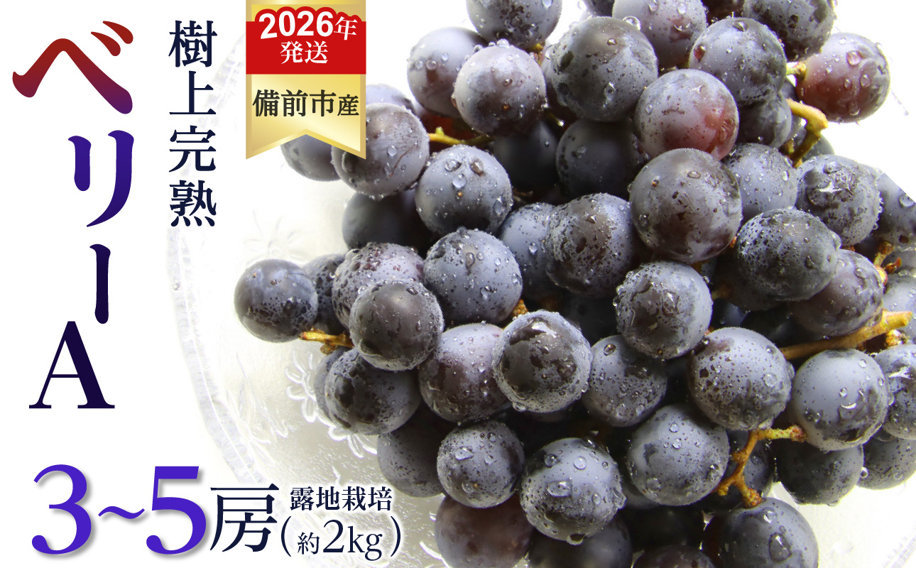 【2026年発送分　先行受付開始！】びぜん葡萄「ベリーＡ」（露地栽培）約2kg（令和8年9月上旬～9月中旬頃発送） 【 岡山県備前市産 ベリーＡ 露地栽培 約2kg 3～5房目安 樹上完熟 】