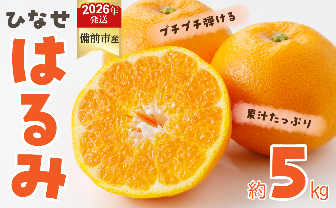 みかん ひなせ はるみ 約5kg（2026年2月頃発送）【果物 フルーツ みかん ミカン ひなせ 春見】