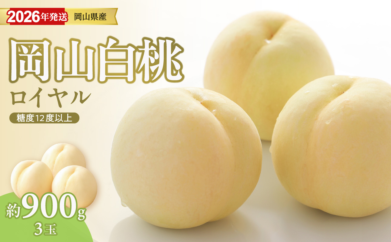 【2026年発送分 先行受付スタート！】岡山県産　白桃　「ロイヤル」　特秀　中玉　約900g（3玉）（令和8年7月～8月上旬頃発送）【 白桃ロイヤル フルーツ 果物 くだもの 御中元 御祝 ギフト プレゼント もも 桃 モモ 岡山県産 ロイヤル】hz-m