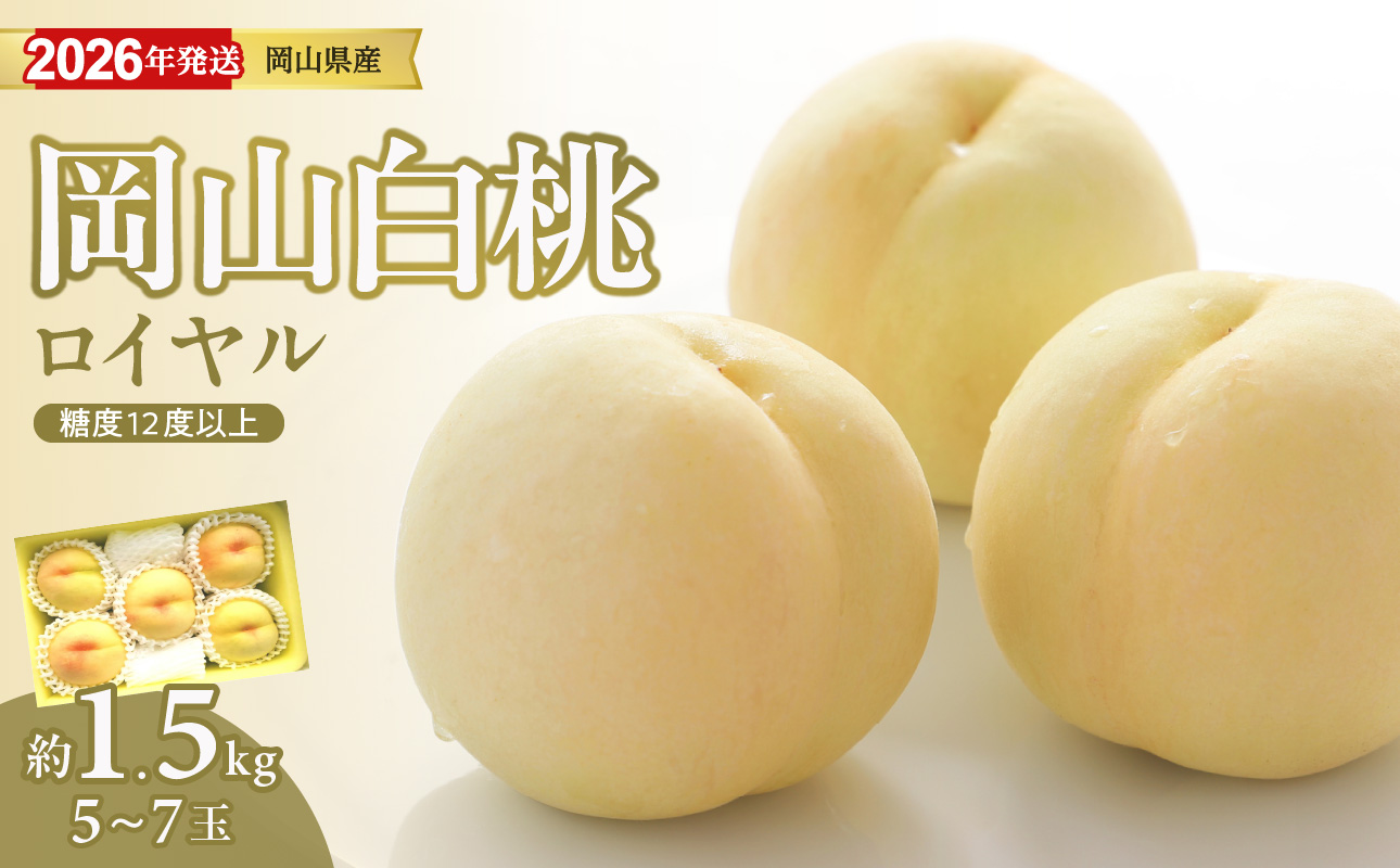 【2026年発送分 先行受付スタート！】岡山県産 白桃 最高ランク！「ロイヤル」約1.5kg（ 5～7玉）（令和8年7月以降発送）【 白桃ロイヤル フルーツ くだもの 果物 もも 桃 モモ 岡山県産 ロイヤル 】hz-m