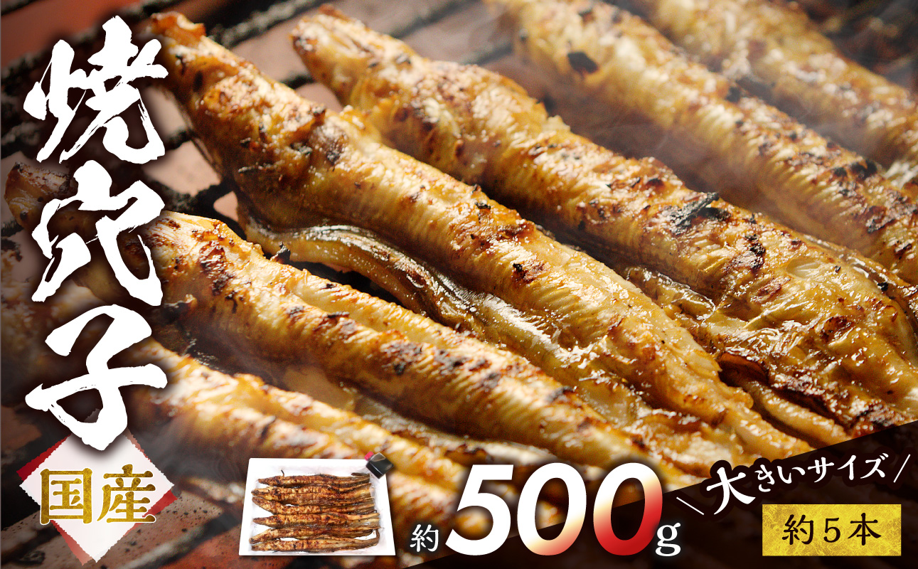 焼穴子 約500g（国産・大きいサイズ約5本）