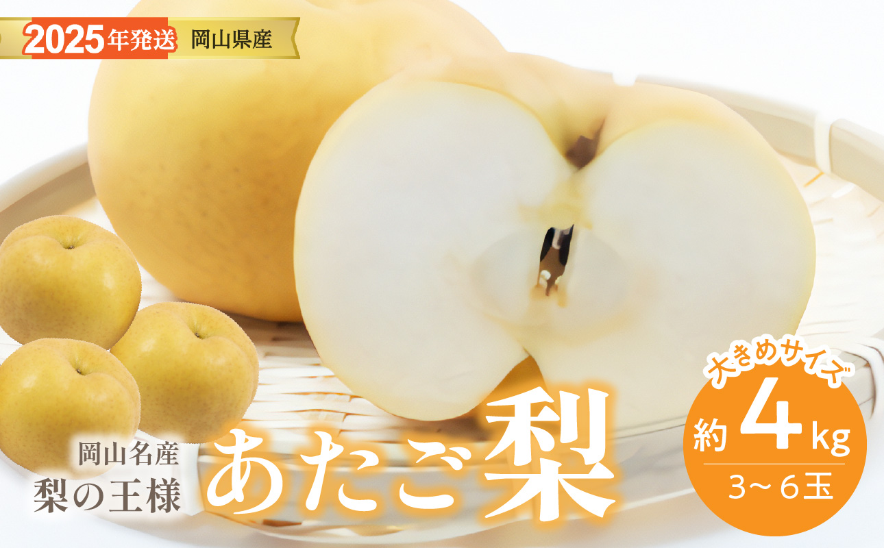 【2025年発送分 先行受付スタート】岡山名産 あたご梨 　秀品　約4kg（3～6玉）（令和７年11月下旬以降発送）【 あたご梨 秀品 梨 フルーツ 果物 岡山県産 】