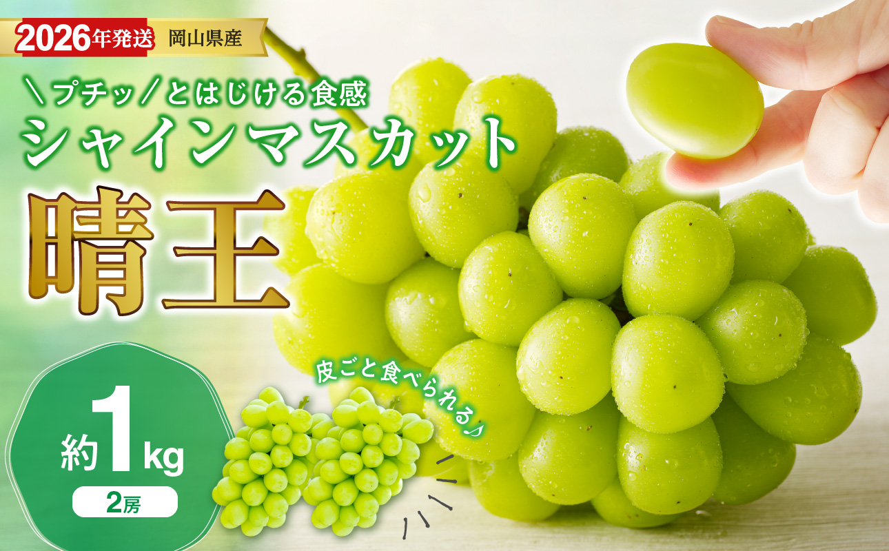 【2026年発送分 先行受付スタート！】岡山県産シャインマスカット「晴王」 秀品　約1kg（2房）（令和8年8月中旬～10月頃発送）【 シャインマスカット 晴王 フルーツ 果物 くだもの 葡萄 ぶどう 御中元 ギフト プレゼント 御祝 岡山県産 秀品 種無し 高糖度 】hz-s