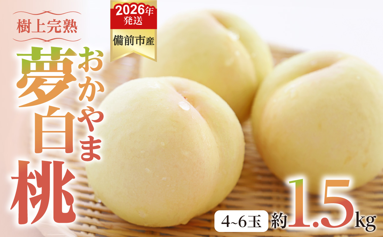 【2026年発送分　先行受付開始！】びぜん白桃　おかやま夢白桃　約1.5kg（令和8年7月中旬～7月下旬頃発送）【岡山県備前市産 おかやま夢白桃 約1.5kg（４～６玉目安）】
