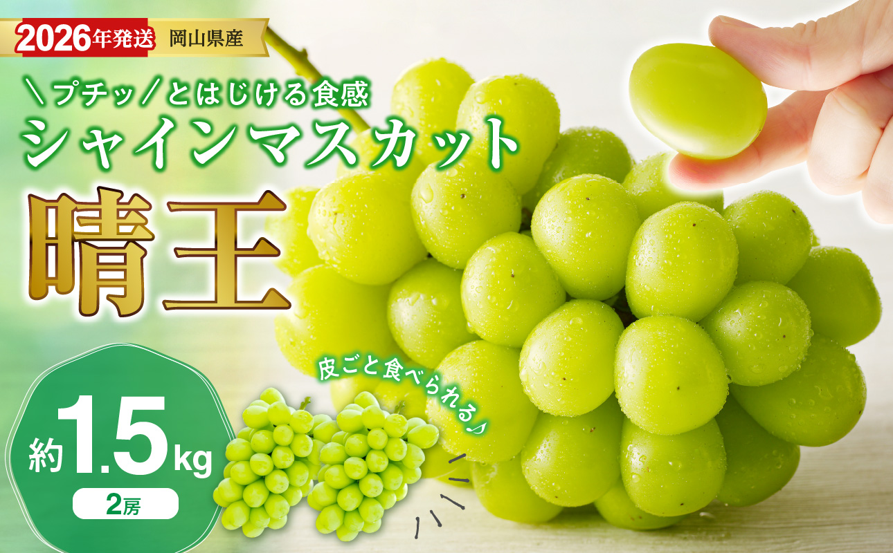 【2026年発送分 先行受付スタート！】岡山県産シャインマスカット「晴王」秀品　約1.5kg（2房）（令和8年8月中旬～11月中旬頃発送）【 シャインマスカット 晴王 フルーツ 果物 くだもの 葡萄 ぶどう 御中元 ギフト プレゼント 御祝 岡山県産 秀品 種無し 高糖度 】hz-s