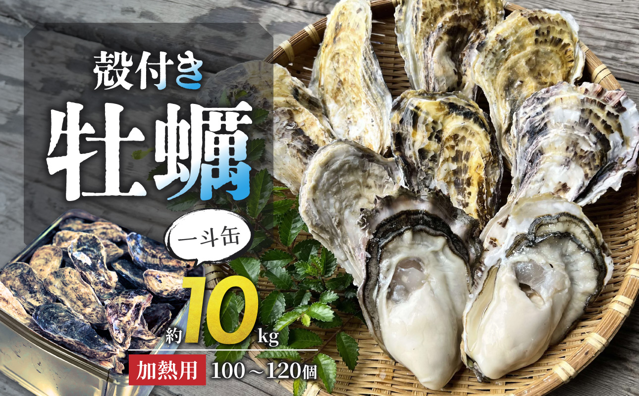 【2026年2月以降発送】殻付き牡蠣(加熱用)　一斗缶（約10kg）【加熱用 ガンガン焼き ナイフ付き 殻付き 一斗缶 海鮮 魚介類 海産物 オイスター】 