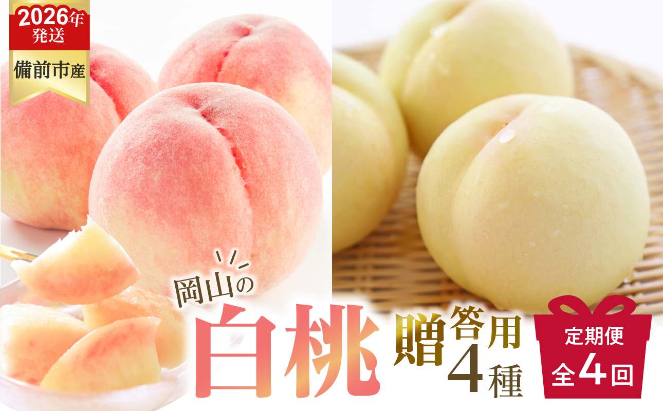 【2026年発送分　先行受付開始！】【定期便】びぜん白桃　贈答用セット　約1.5kg×4回発送（令和8年6月下旬～7月頃発送）【 岡山県備前市産 樹上完熟白桃  約1.5kg（5～7玉目安）×4回発送 贈答用 】