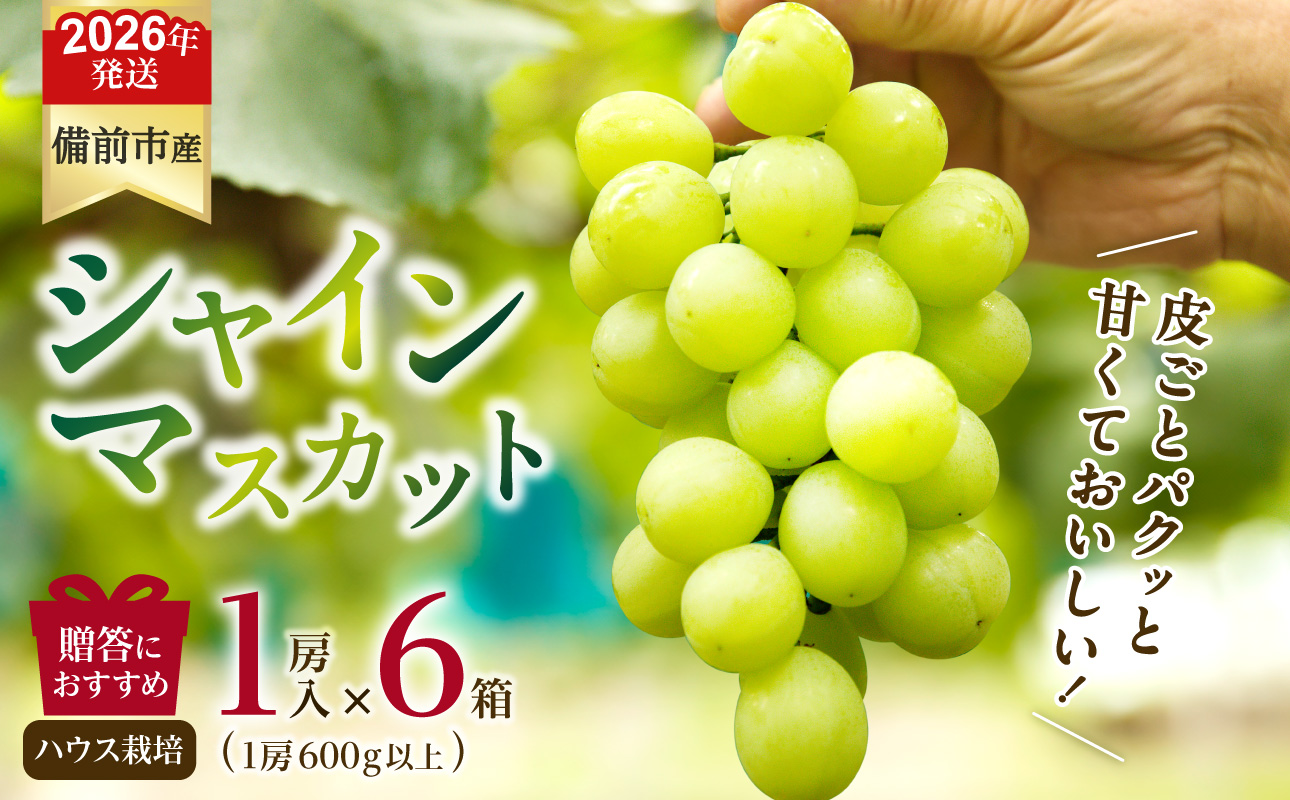 【2026年発送分　先行受付開始！】びぜん葡萄「シャインマスカット」（ハウス栽培）1房入×6箱セット（令和8年8月中旬～9月中旬頃発送）【 岡山県備前市産 シャインマスカット ハウス栽培 1房入×6箱セット 樹上完熟 】