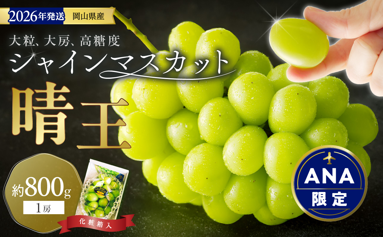 [ANA限定][2026年発送分 先行受付スタート!]岡山県産シャインマスカット「晴王」秀品 1房(約800g)(令和8年8月中旬以降発送)[シャインマスカット 大房 大粒 岡山県産 秀品 種無し 高糖度 葡萄 ぶどう 御中元 ギフト 御礼 化粧箱入 プレゼント 御祝 御供 果物 くだもの フルーツ ]