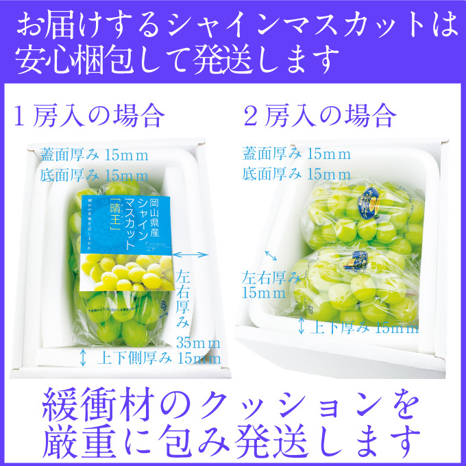 2026年予約受付中 シャインマスカット晴王2房 約1.2kg 7月～8月出荷 人気 岡山県産 種無し 皮ごと食べる みずみずしい フレッシュ 晴れの国 おかやま 果物大国 ハレノフルーツ