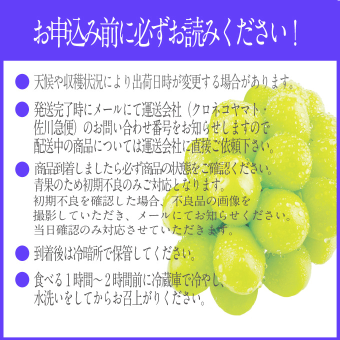 2026年 先行予約受付中 シャインマスカット晴王 1房 約550g 岡山県産 種無し 皮ごと食べる みずみずしい 甘い フレッシュ 瀬戸内 晴れの国 おかやま 果物大国 ハレノフルーツ