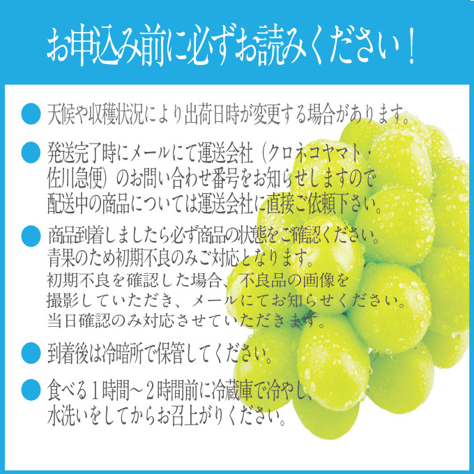 2026年 先行予約受付中 シャインマスカット晴王 1房 約650g 岡山県産 種無し 皮ごと食べる みずみずしい 甘い フレッシュ 瀬戸内 晴れの国 おかやま 果物大国 ハレノフルーツ