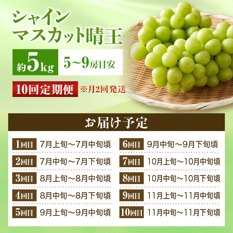 【2026年先行受付】 シャインマスカット 晴王 10回 定期便 秀品 大房 岡山県産 ぶどう ギフト 御礼 プレゼント 御礼 御祝 御供 果物 くだもの フルーツ